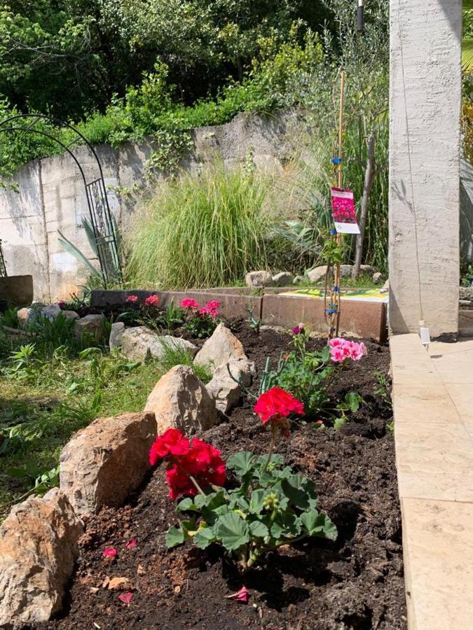 Villa Mihaela Ičići المظهر الخارجي الصورة