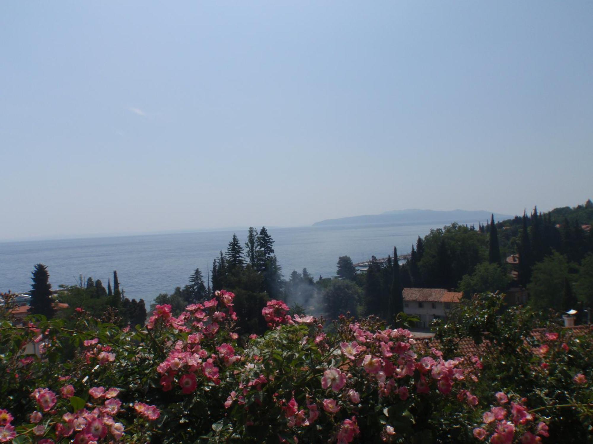 Villa Mihaela Ičići المظهر الخارجي الصورة